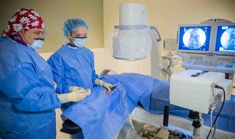 ilbnc|ilbnc special procedures.